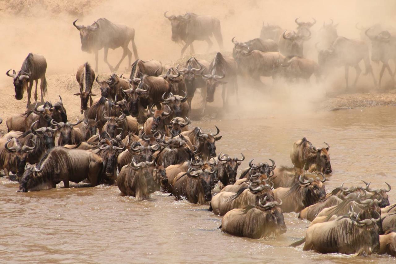 Gnu Mara River Camp Серенгети Экстерьер фото
