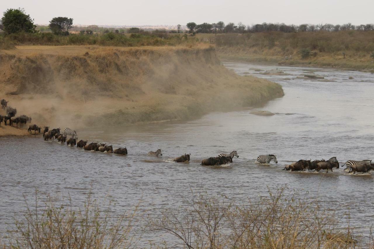 Gnu Mara River Camp Серенгети Экстерьер фото